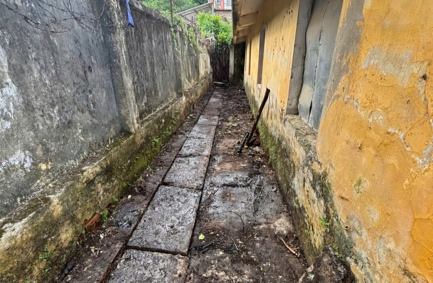 Rãnh thoát nước thông thoáng sau khi được dọn dẹp.